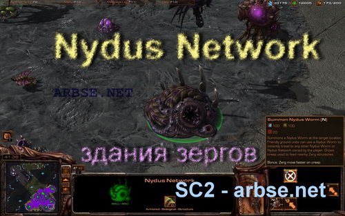 Nydus Network    StarCraft 2